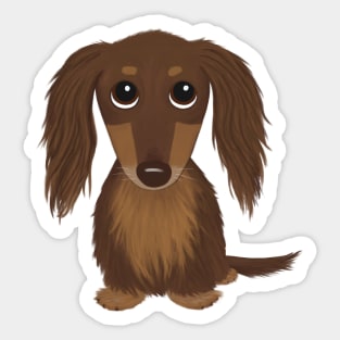 Cute Dog | Longhaired Chocolate Brown Dachshund | Wiener Dog Sticker